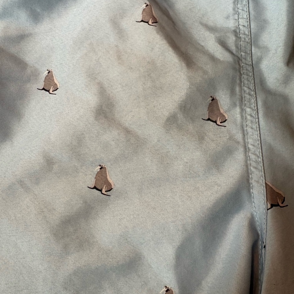 ⭐️ H&M Light Blue Swim Shorts ⭐️ - Picture 3 of 9